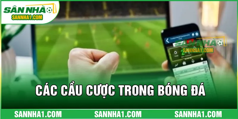 Các cầu cược trong bóng đá