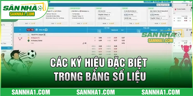Các ký hiệu đặc biệt trong bảng số liệu