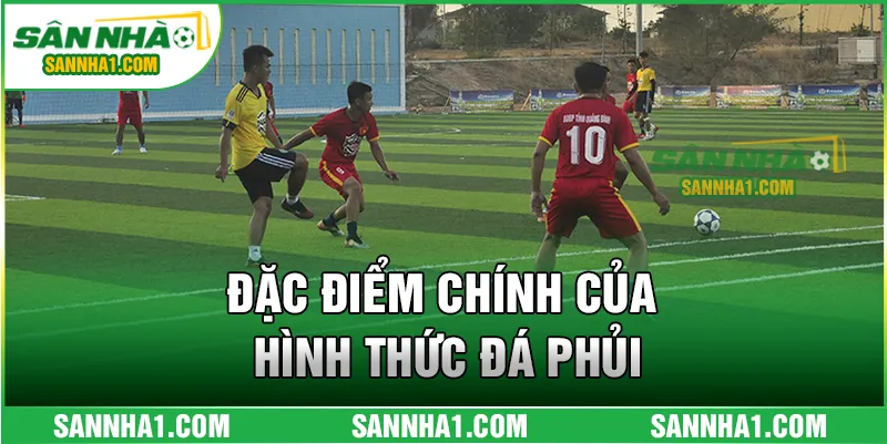 Đặc điểm chính của hình thức đá phủi
