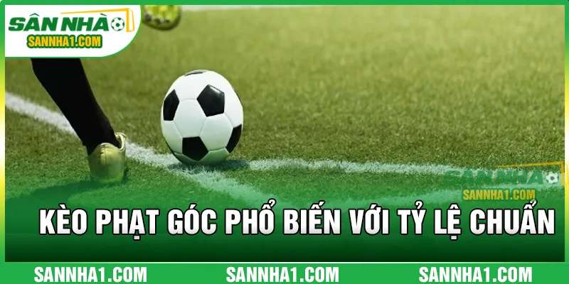 Một số kèo phạt góc phổ biến với tỷ lệ chuẩn