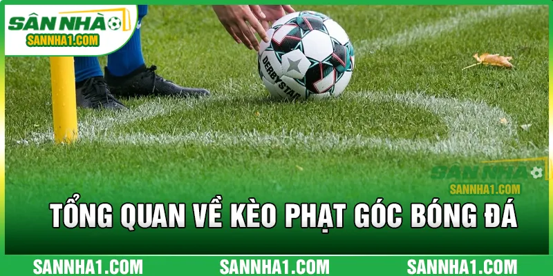 Sơ lược tổng quan về kèo phạt góc bóng đá