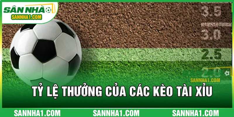 Tỷ lệ thưởng của các kèo Tài Xỉu phổ biến